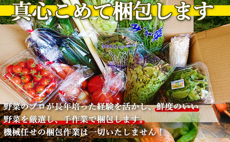 野菜のプロ40年が届ける 厳選野菜セット！ 野菜・フルーツ 15～16品目 詰め合わせ