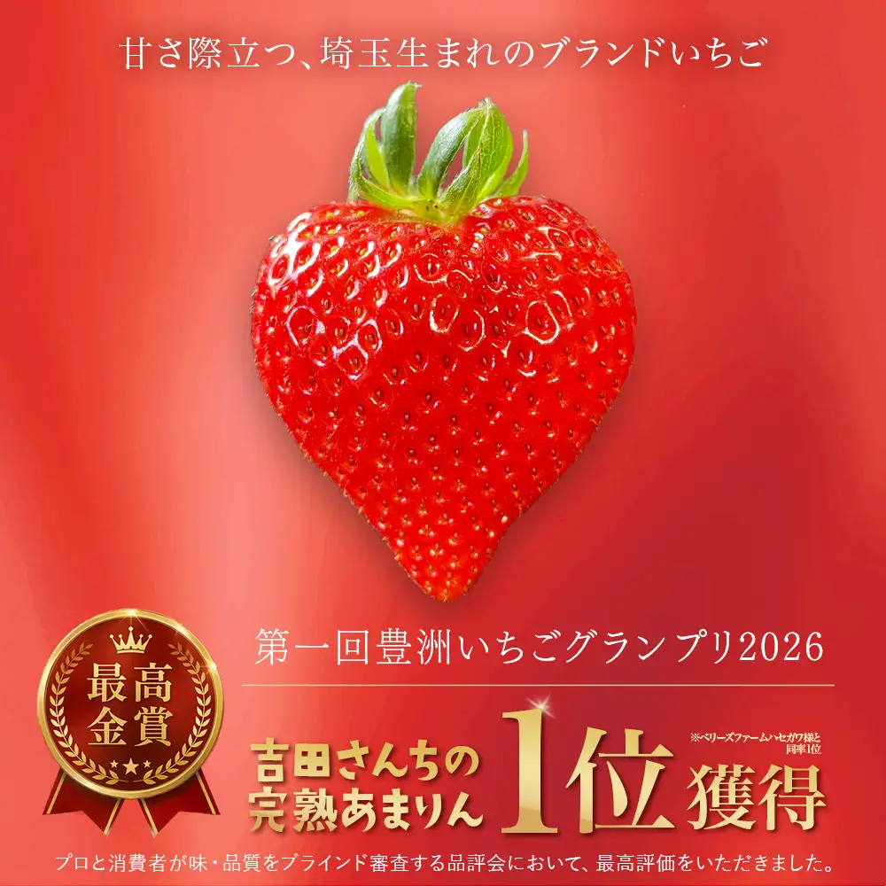 ＜先行予約＞吉田さんちの完熟苺「あまりん」　500g　【11218-0846】