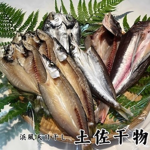 M215 天日干し 手作り干物詰め合わせ地魚セット 無添加土佐干物 期間限定品