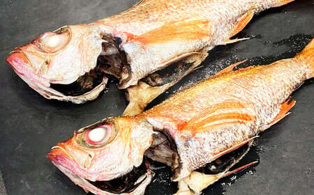 長崎県産 のどぐろ・伊勢海老・赤甘鯛 高級魚介類 セット ／ 【2026年9月上旬～2027年5月下旬発送予定】 のどぐろ 伊勢海老 赤甘鯛 魚 さかな カット 切り身 合計8パック ノドグロ 伊勢えび 伊勢エビ アカアマダイ 鯛 詰め合わせ 長崎県 長崎市