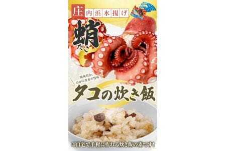 タコ炊き飯の素 2合用×3パック 化学調味料・保存料・着色料不使用 東北 山形県 遊佐町 セット 簡単調理 炊飯器 たこ 蛸 炊き込みご飯 かやくご飯 常温保存 [839]