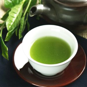 ふじやま茶セット お茶 煎茶 緑茶 茶葉 やぶきた種 深蒸し製法 スタンドパック まろやか 