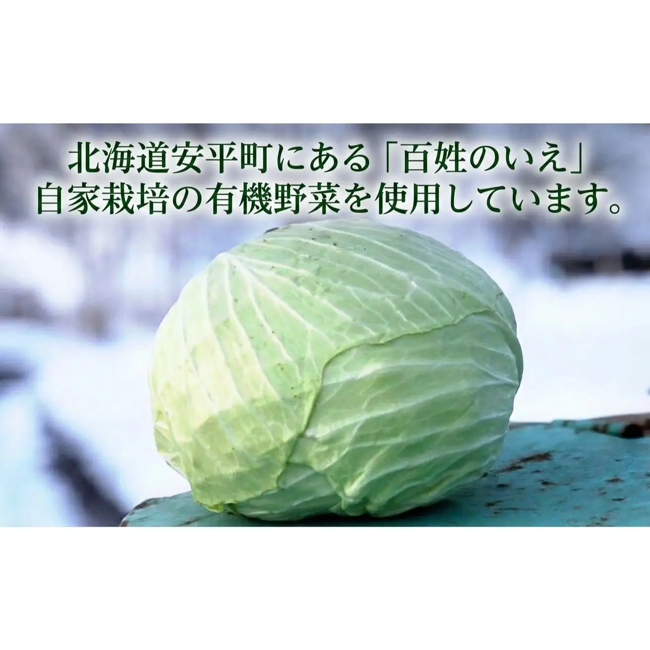ぎょうざ 有機野菜と放牧豚のぎょうざ 3袋セット【1518870】