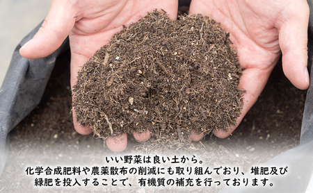 じゃがいも 富良野産 男爵 LM混合 じゃがいも【計4kg】