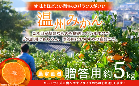 ＜明浜産 温州みかん 約5kg 贈答用＞ 愛媛みかん 農家直送 果物 フルーツ 柑橘 ミカン 蜜柑 S～Lサイズ 贈答 国産 濱元柑橘農園 愛媛県 西予市【常温】『2025年11月下旬から2026年1月中旬までに順次出荷予定』AHK0001