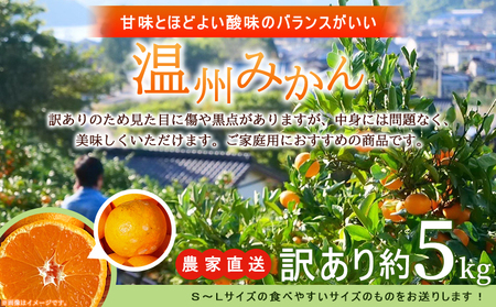 ＜明浜産 温州みかん 約5kg 訳あり＞ 愛媛みかん 農家直送 家庭用 自宅用 ワケアリ 果物 フルーツ 柑橘 ミカン 蜜柑 S～L 濱元柑橘農園 西予市【常温】『2025年11月下旬から2026年1月中旬までに順次出荷予定』AHK0002