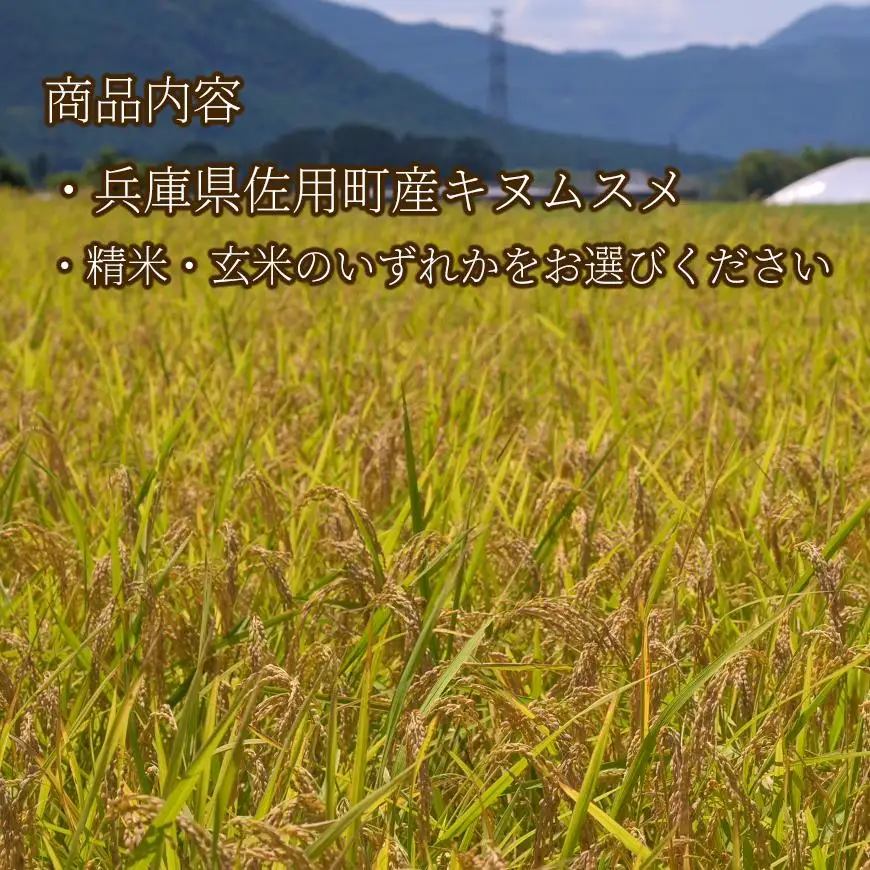【兵庫県佐用町産】さよひめ営農のお米 5kg キヌムスメ/玄米