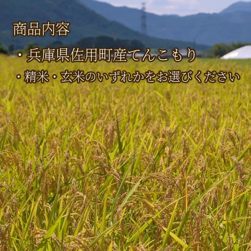 【兵庫県佐用町産】さよひめ営農のお米 10kg てんこもり/玄米