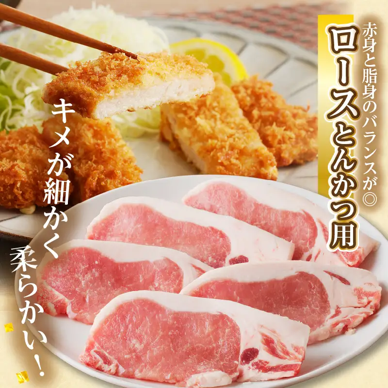 宮崎県産豚ロース・ヒレ『とんかつ用』合計2kg 肉 豚 豚肉 国産_T041-0105