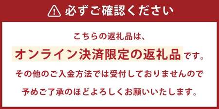 【2026年12月23日~25日のクリスマス時期にお届け】★クリスマスケーキ★シュータルト（シュークリームの山盛りタルト） ホール 15cm ／ スイーツ ケーキ クリスマス デザート タルト ギフト 雲仙堂 長崎県 長崎市