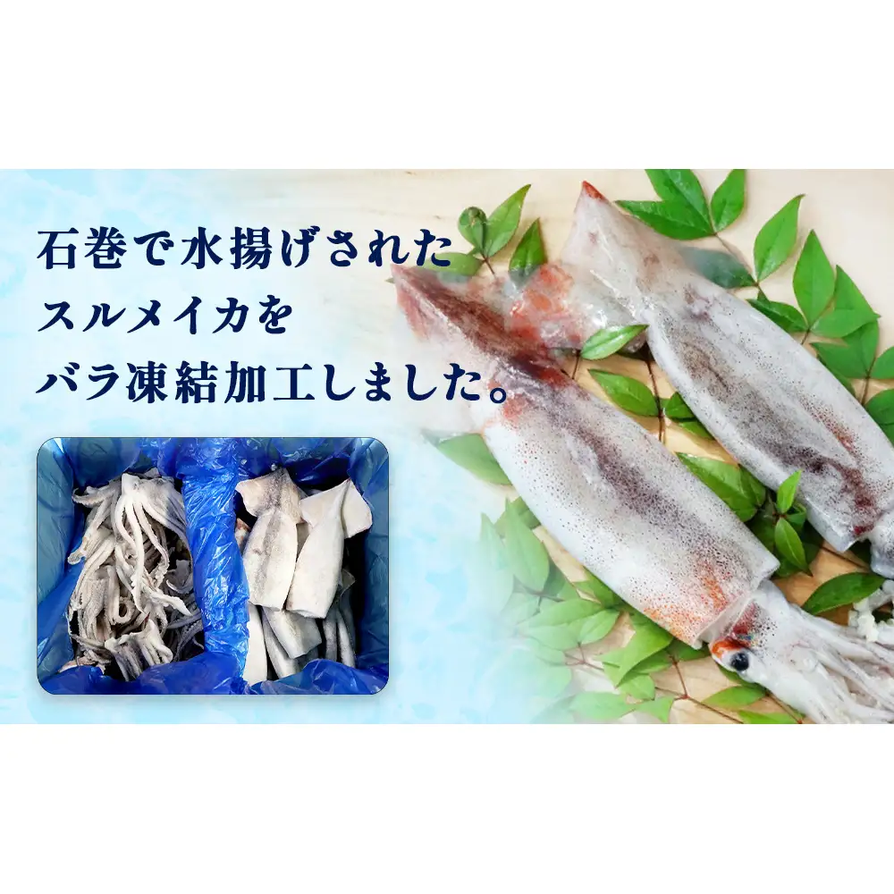 石巻市産スルメイカ2kg 冷凍 国産 スルメイカゲソ1kg  スルメイカ ツボ抜き1kg いか 下足 イカ イカゲソ つぼ抜き カルパッチョ おつまみ 魚介類 焼イカ バーベキュー BBQ 烏賊 炒め物 フライ ゲソ天 唐揚げ