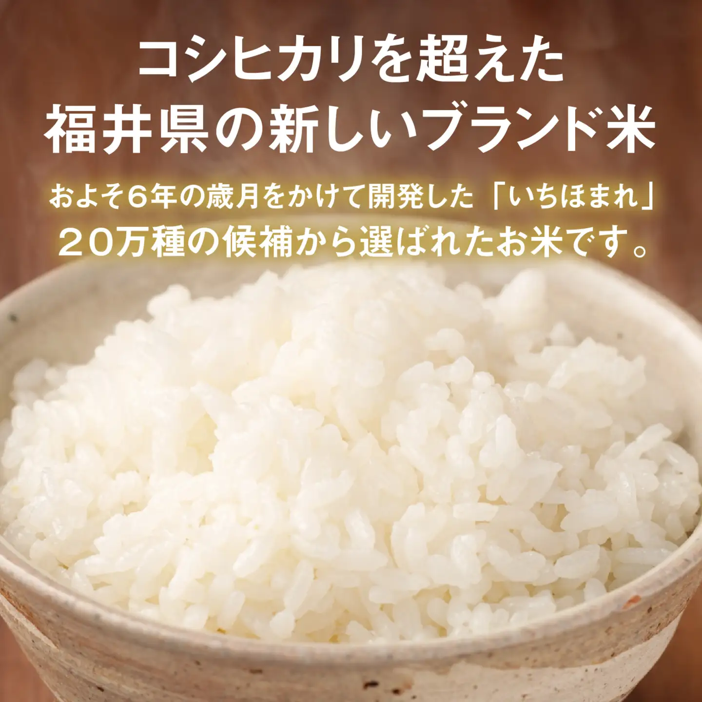 令和7年産 いちほまれ 精米 5kg(5kg×4袋) ブランド米 白米 [F-014005] 