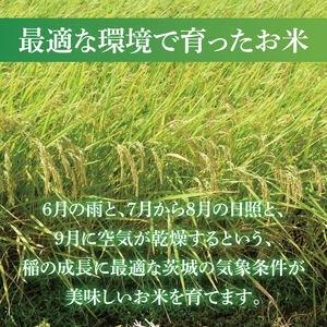 【茨城県共通返礼品】令和7年産 茨城県産 無洗米コシヒカリ15kg（5kg×3袋）【お米 米 こしひかり 無洗米 ごはん 茨城県】（03-53-1）