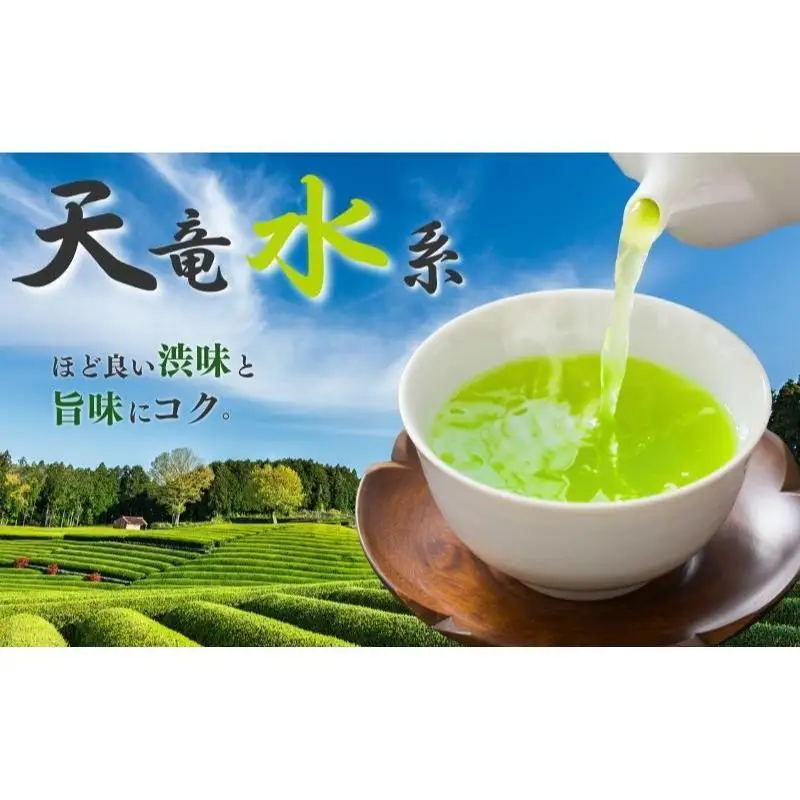 お茶 天竜水系 5本セット 緑茶 静岡県 森町 お茶