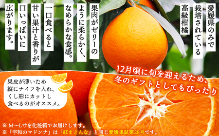 紅まどんなと同品種！＜愛媛県西予市産 宇和のマドンナ 約4kg（M寸～L寸）＞ 果物 柑橘 みかん ミカン 蜜柑 愛媛果試第28号 紅マドンナ 化粧箱 贈答用 ギフト 南予園芸 愛媛県 西予市【常温】『2025年12月中旬～2026年1月上旬迄に順次出荷予定』UNE0010