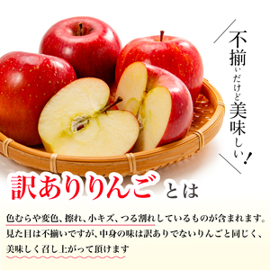 【先行受付】＜訳あり＞ ふじりんご5kg 2026年11月下旬頃～順次発送予定 フルーツ 果物 りんご リンゴ 林檎 新鮮 傷あり 産地直送 広島県三原市 059011