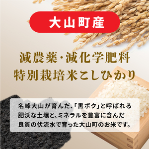 MR-17　減農薬・減化学肥料　特別栽培米こしひかり頒布会（白米10kg×2回）