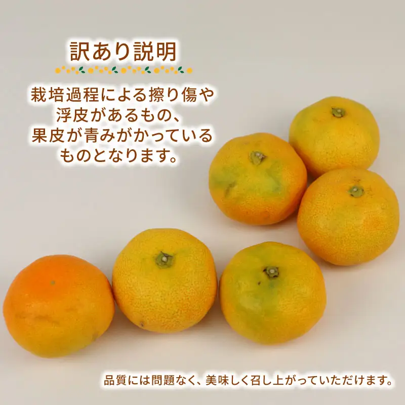 訳あり温室みかん 2kg ハマみかん 温室 B010-075012