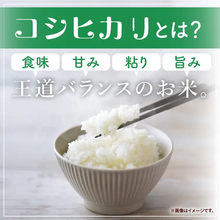 【人気2銘柄食べ比べ】令和7年産 茨城県産 コシヒカリ・あきたこまち　5kg×各1袋（計10kg）【お米 米 コメ こめ たべくらべ 40000円以内】(AL270)