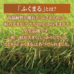 【茨城県共通返礼品】令和7年産 茨城県産　ふくまる 10kg（5kg×2袋）【お米 米 ごはん 茨城県】（03-62-1）