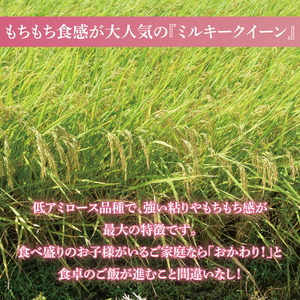 【茨城県共通返礼品】令和7年産茨城県産 ミルキークイーン10kg（5kg×2袋）【お米 米 ごはん 茨城県】（03-64-1）