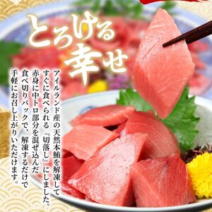 【本マグロ】高豊丸 マグロ 800g tk152