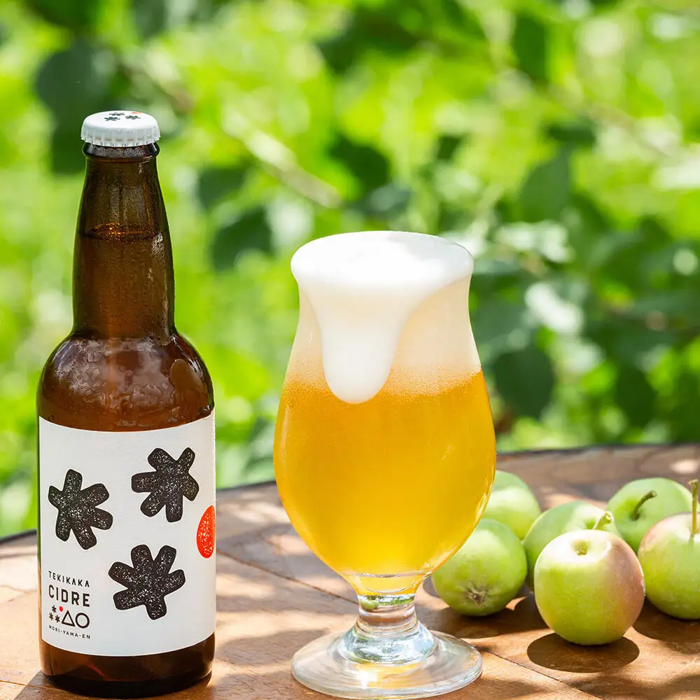 未来を育てるりんごのお酒 テキカカシードル（シードル 、ラガー） 各330ml×3本 計6本 お酒 青森 弘前 林檎 リンゴ