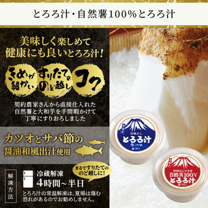 とろろ汁 3個 自然薯100％とろろ汁 2個 すりたてののど越し 2種 食べ比べ 大和芋 ほんやま自然薯 醤油ベース セット 冷凍 富士市 [sf095-007]