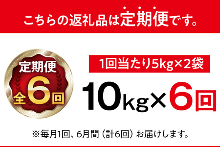 令和8年産 金のめし丸 元気つくし 合計60kg 10kg (5kg×2袋) ×6回 定期便 白米 精米 お米 ご飯 米 精米 お取り寄せ 福岡 お土産 九州 福岡県産 グルメ 福岡県