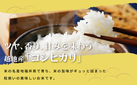 【先行予約】【令和7年産 新米】越地 (こいち) 産 コシヒカリ (白米) 計20kg（5kg×4袋） 【2025年9月中旬以降順次発送予定】[m24-d003]