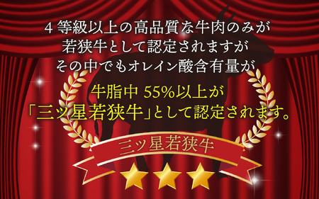  【定期便】【3ヶ月連続お届け】三ツ星若狭牛切り落とし 450g×3回　計1,350g｜牛肉 焼肉 しゃぶしゃぶ すき焼き すき焼き肉 若狭牛 肉 肉セット 肉うどん 冷凍 450g ブランド牛 切り落とし 牛丼 炒め物 三ツ星牛 三ツ星 ギフト 贈答 国産 和牛 すき焼き用牛肉 国産牛 [BFAP009] 【配送不可地域：北海道・沖縄・離島】 