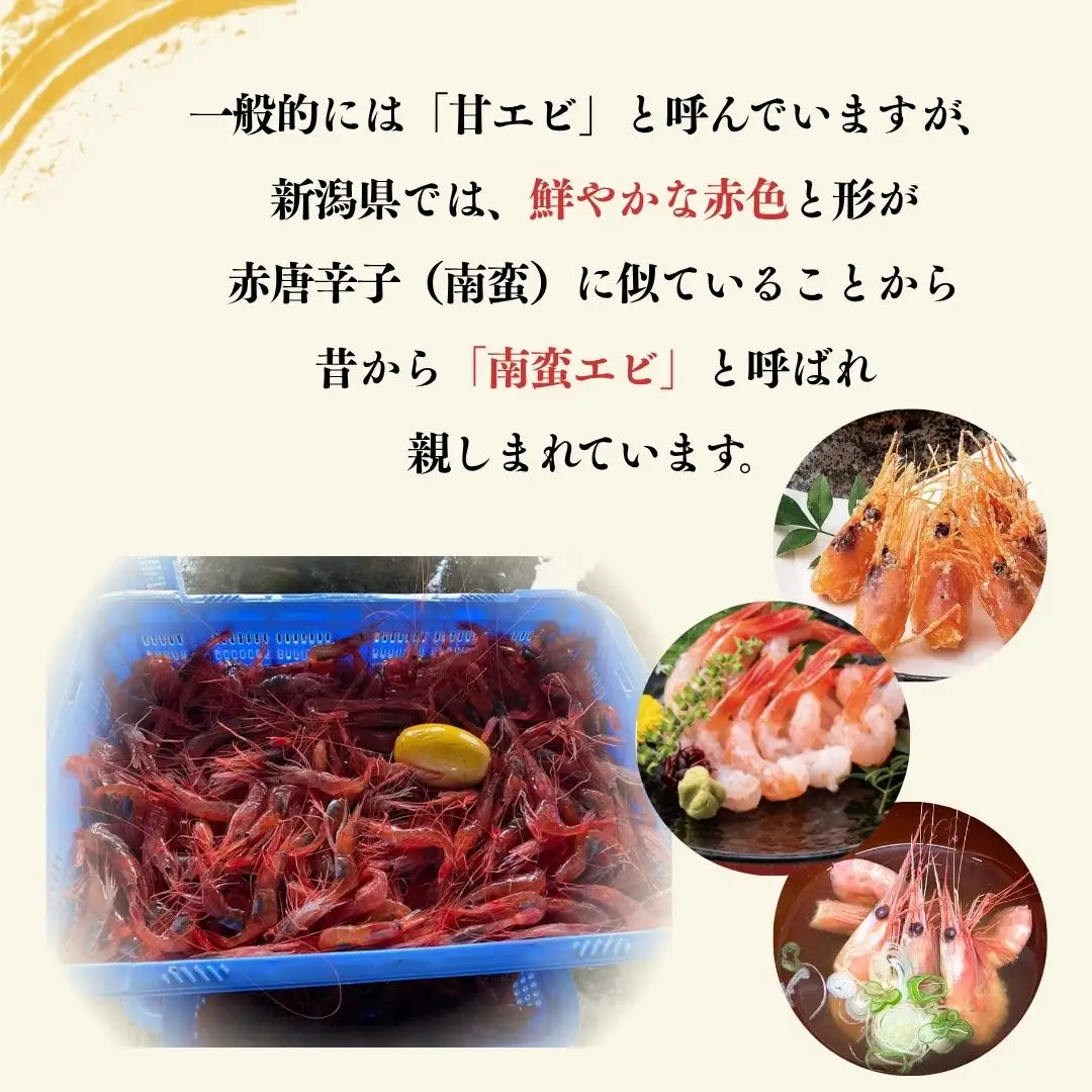甘エビ 生鮮 800g | 新潟県 佐渡市 南蛮エビ