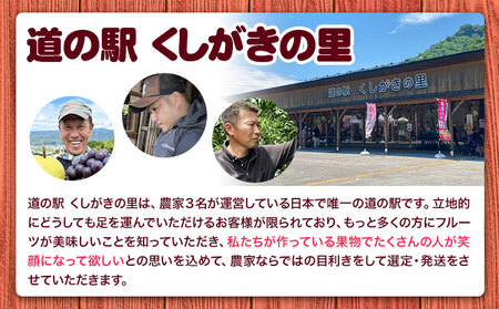 【先行予約】桃 白鳳 紀の川市産 約1kg(3玉入り)  紀農人株式会社《2027年6月下旬-7月下旬頃出荷》和歌山県 紀の川市 果物 フルーツ 桃 もも モモ 旬