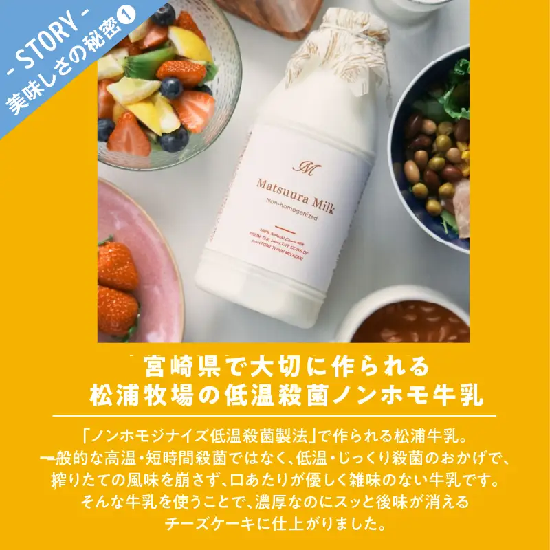 【2週間以内発送】農の都で生まれた「都のチーズケーキ」計1個 スイーツ 洋菓子 国産_T038-0095