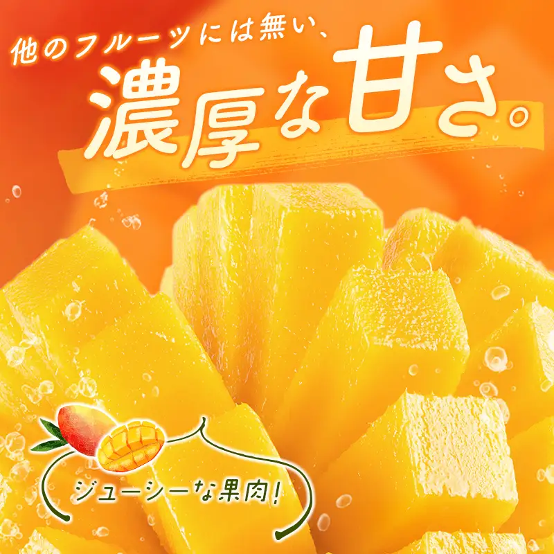2027年出荷 宮崎県産 完熟マンゴー3L×2玉 計900g以上 C356-27