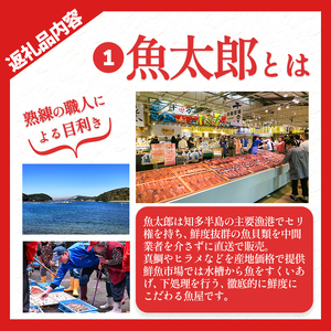 干物セット 6種 1.7kg 冷凍 セット 詰め合わせ 鯛 タイ たい 鯖 サバ さば ふぐ フグ ちりめん わかめ 佃煮 干物 魚太郎