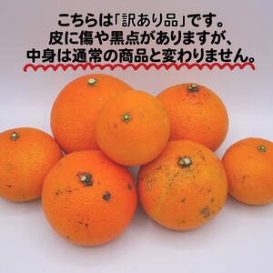【2026年12月中旬～発送】【先行予約】訳あり 愛媛 まどんな 3kg