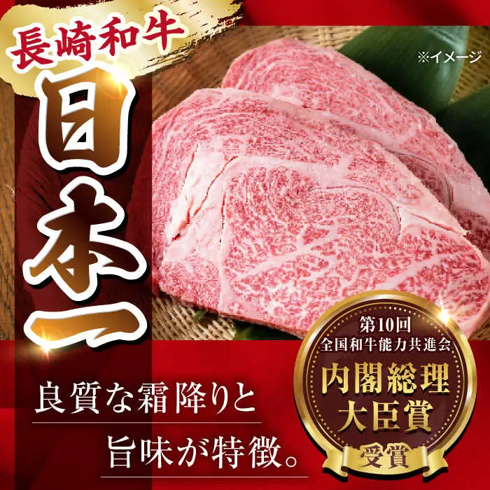 【全6回定期便】極厚ヒレステーキ 長崎和牛 計400g以上（約200g×2枚）【肉のマルシン】[FG50] ヒレステーキ 定期便