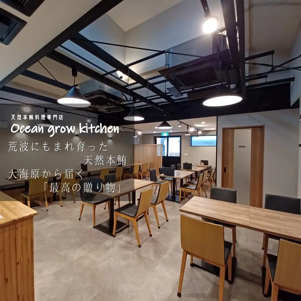 oceangrow kitchen お食事券（天然本鮪寿司7貫＋手巻き）1名様分 M007-017-01 チケット 体験