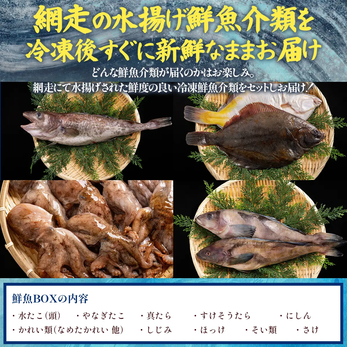 【先行予約】【訳あり】網走産冷凍鮮魚BOX～未利用魚の有効活用（漁業生産者応援企画）～【令和8年4月より順次発送】 ABAE011