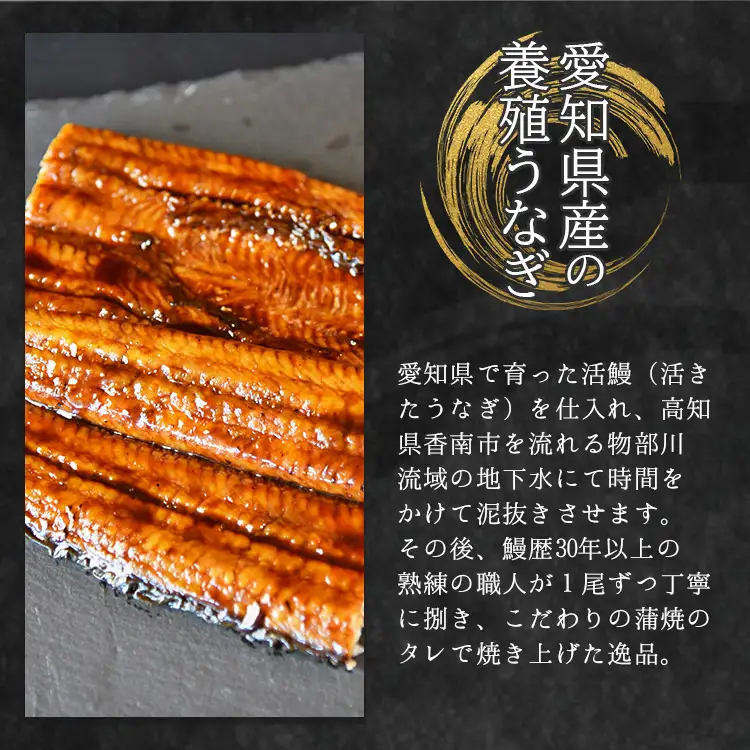 【定期便】うなぎ蒲焼き | うなぎ 定期便 国産 魚介 Wfb-0074
