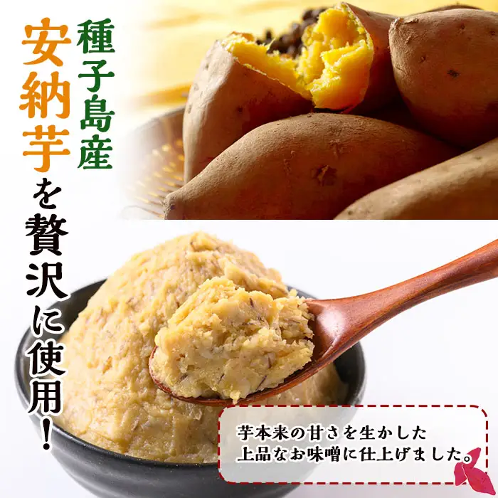 味噌 500g × 2個 調味料 安納芋 使用 みそ 【スカイショップ銀河】n301