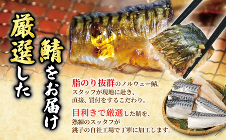 【訳あり】 塩さば 切身 約1kg さば