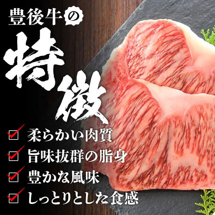 【大容量パック！】 おおいた豊後牛 牛肉 切り落とし 1.2kg (600g×2) 豊後牛 牛肉 切り落とし 大分 冷凍 [AREI004]