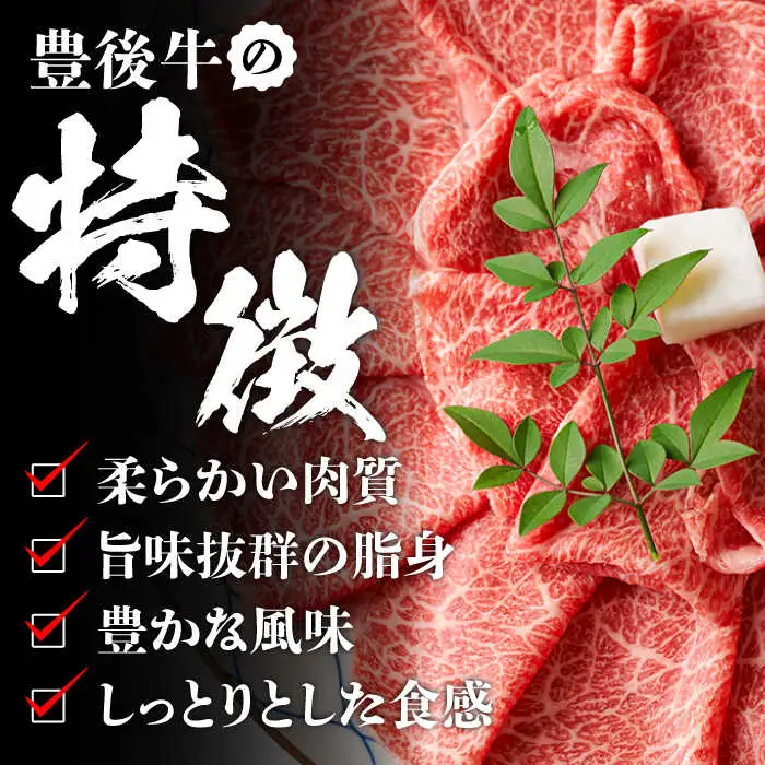 【訳あり】おおいた豊後牛 しゃぶしゃぶすき焼き セット 750g  日田市 黒毛和牛 牛肉 サーロイン 豊後牛 しゃぶしゃぶ すき焼き 訳あり[AREI014]