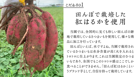 「田んぼ 紅はるか」で焼く、まるでアイスのような焼き芋 1kg(個包装) 