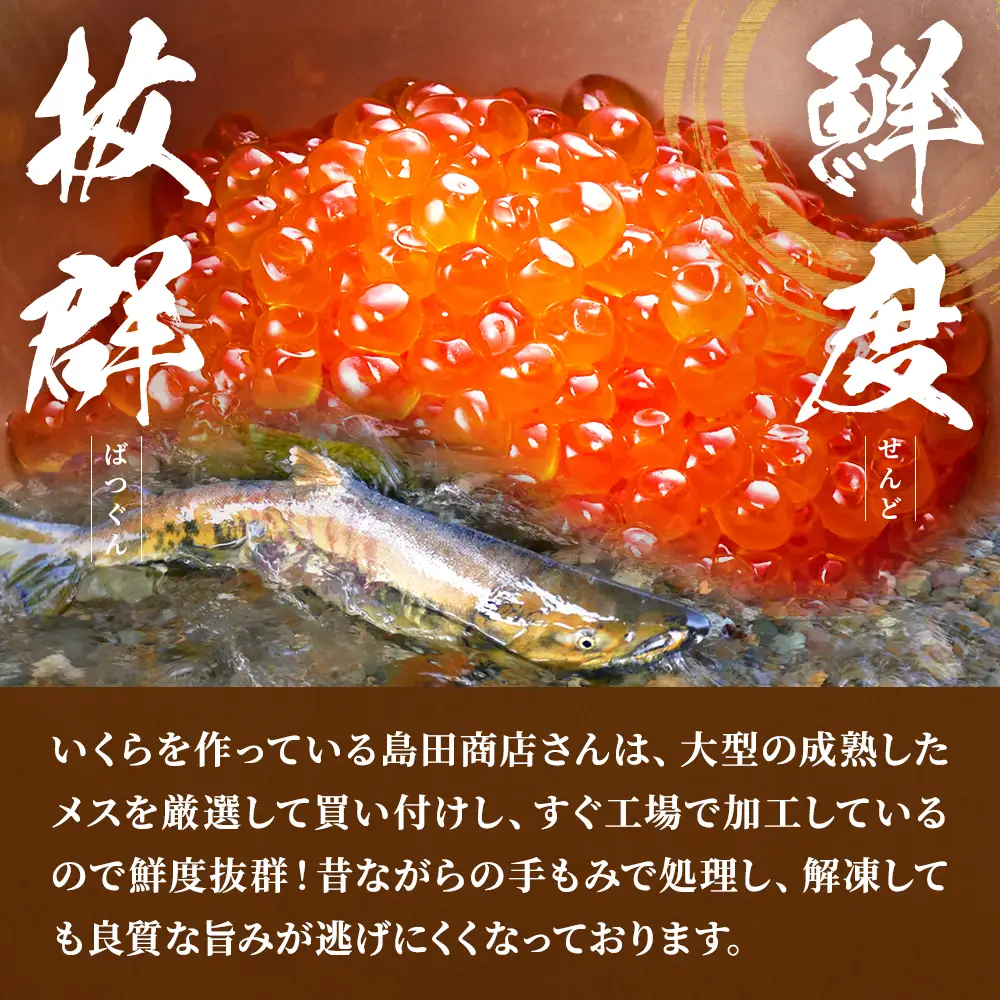 【鮭いくら】 北海道産鮭いくら 醤油漬け 200g x 2  【AN】