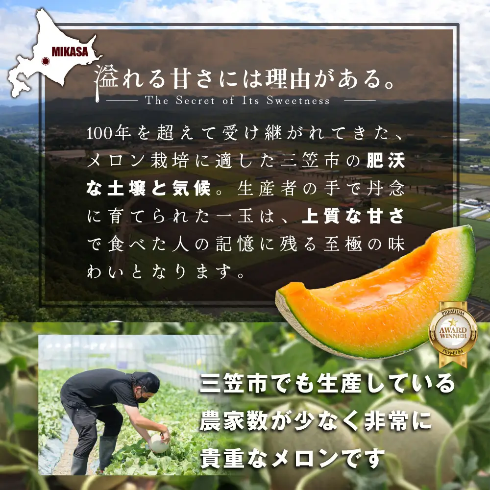 《2026年分受付中》三笠メロン3玉入(4.0kg以上)【0130101】