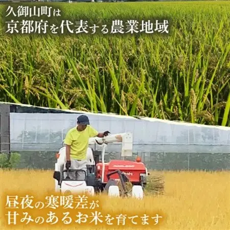 ヒノヒカリ無洗米5kg_ 無洗米 米 こめ コメ_【1576332】