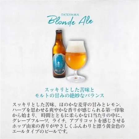 館山ブロンドエール 6本セット【配送不可地域：離島】【1578218】